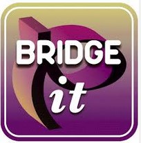 Bridge-it business simulation